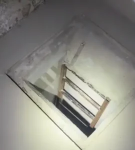 PM descobre bunker e apreende drogas avaliadas em R$ 600 mil em Goiânia