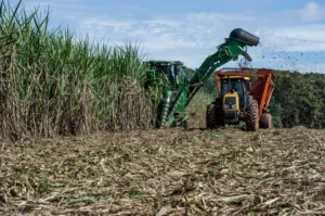 Governo anuncia crédito e apoio a setores afetados por tarifa dos EUA
