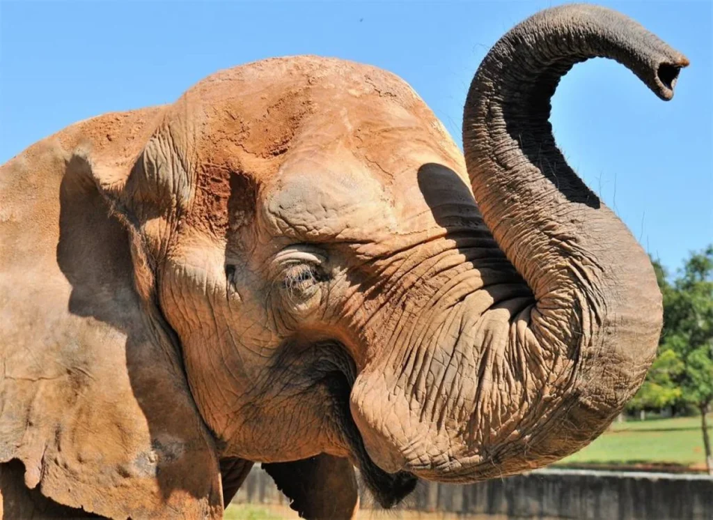 Zoológico