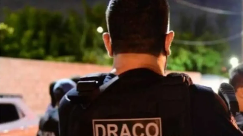 delegado