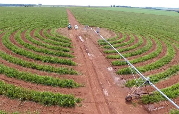 Irrigação impulsiona consumo de energia e fortalece o agronegócio em Goiás
