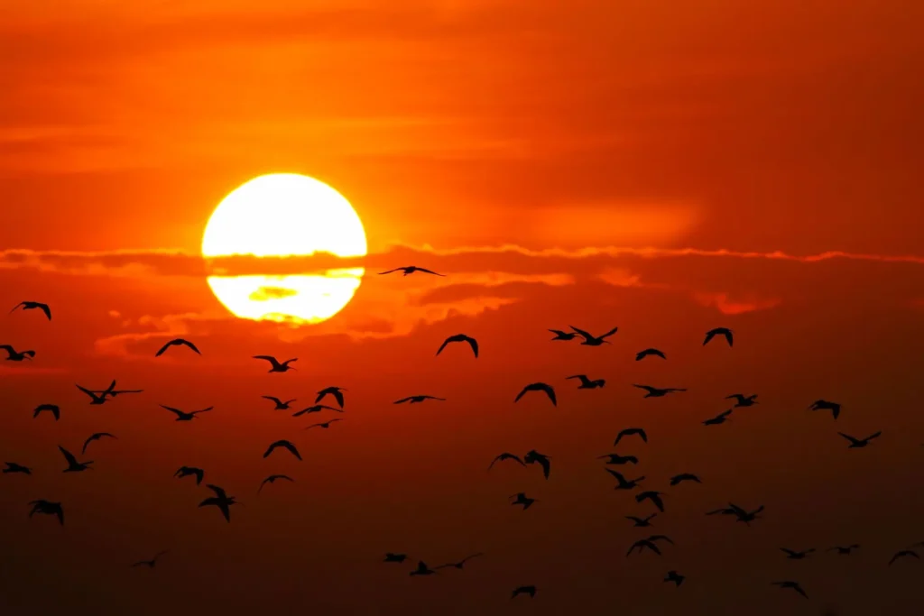 De 17°C para 31°C: Goiânia terá grande variação de temperatura nesta terça-feira (14)
