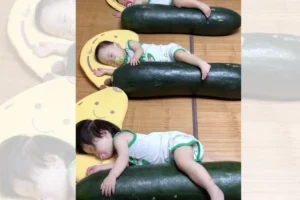 Por que pais na China estão colocando bebês para dormir ao lado de melões gigantes?