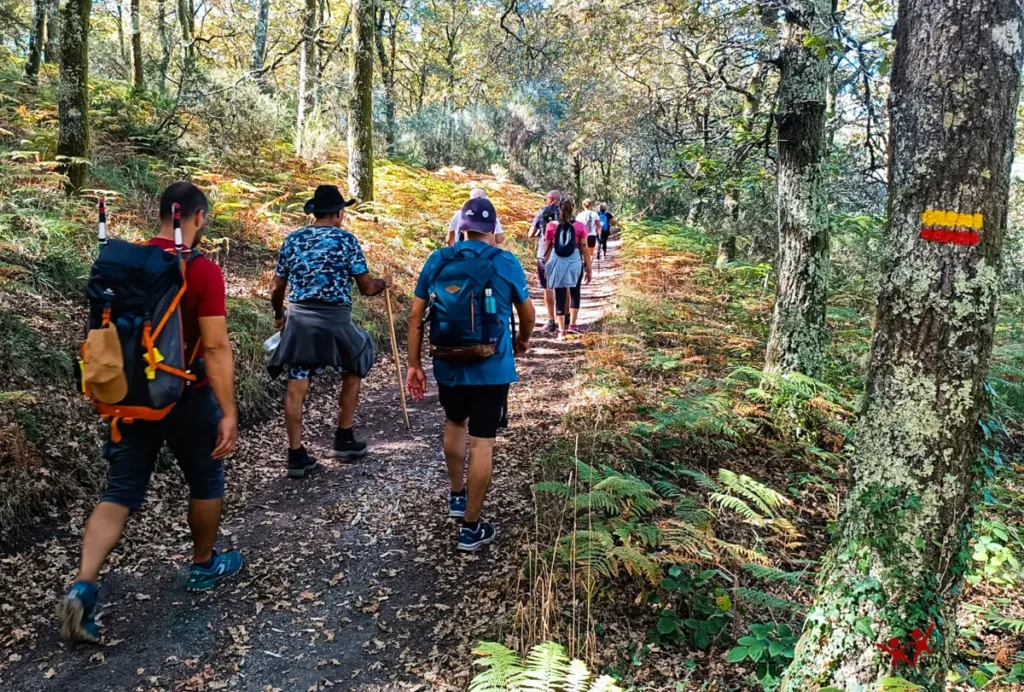 6 trilhas em Goiás que escondem paisagens incríveis sem exigir preparo de atleta
