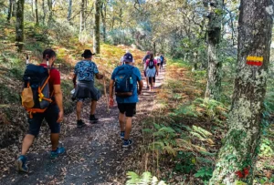 6 trilhas em Goiás que escondem paisagens incríveis sem exigir preparo de atleta