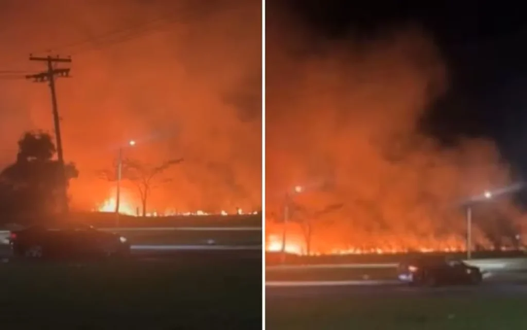 Incêndio em área de mata no Campus Samambaia será investigado após suspeita de ação criminosa