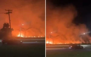 Incêndio em área de mata no Campus Samambaia será investigado após suspeita de ação criminosa
