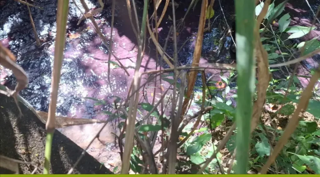 Semad confirma contaminação de córrego após acidente químico na BR-153 em Goiás