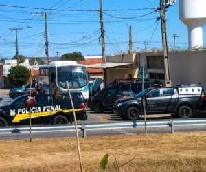 catalão