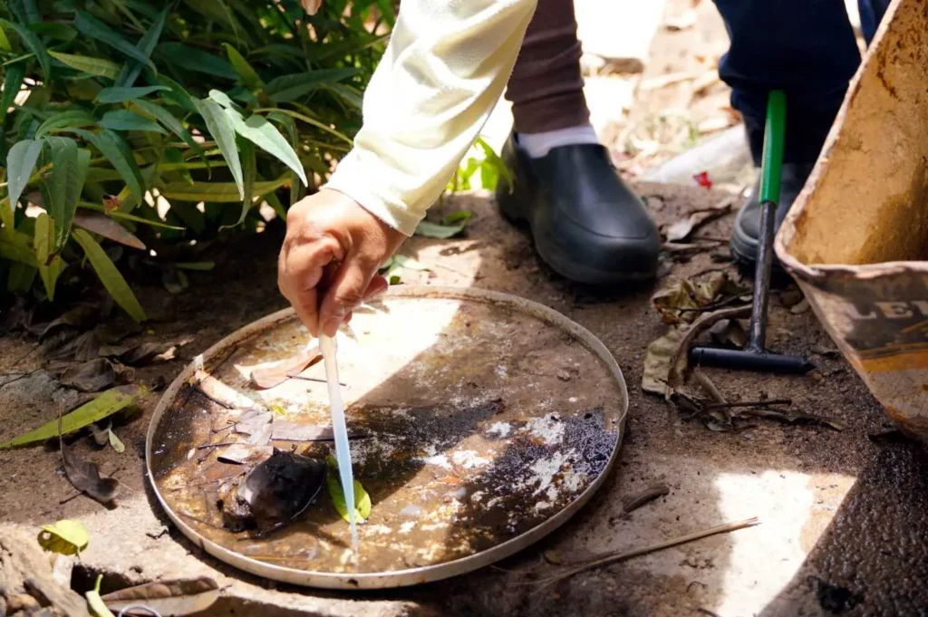 Chikungunya avança mais de 400% em Goiás e acende alerta contra o Aedes aegypti