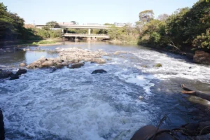 Vazão do Meia Ponte cai e alerta para possível racionamento
