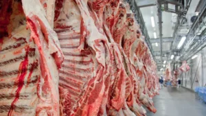 carne exportação