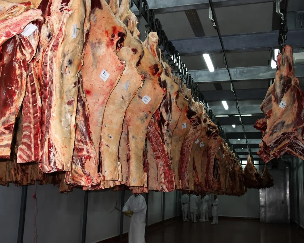 carnes
