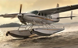 Avião cai em Caldas Novas (GO)