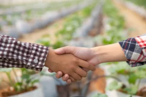 Cooperativas ganham espaço e injetam bilhões no agronegócio goiano