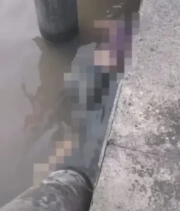 Jovem desaparecida é encontrada morta em um terminal hidroviário em Belém