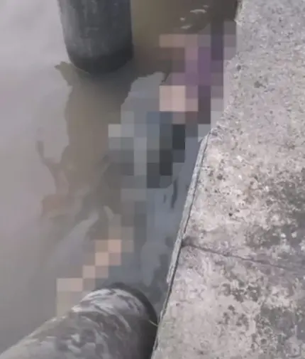 Jovem desaparecida é encontrada morta em um terminal hidroviário em Belém