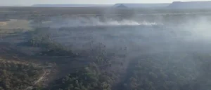 Incêndios destroem 8 mil hectares na região de Terra Ronca, em Goiás