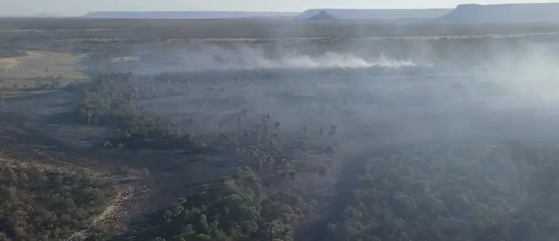 Incêndios destroem 8 mil hectares na região de Terra Ronca, em Goiás