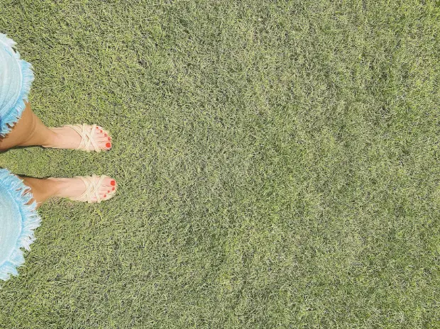 A arte de dizer não: como estabelecer limites com confiança