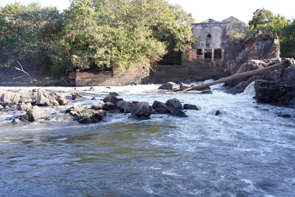 Espuma aparece no Rio Meia Ponte em Goiânia e mobiliza investigação