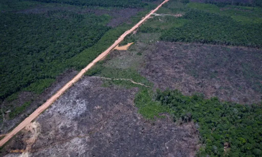 Desmatamento Amazônia