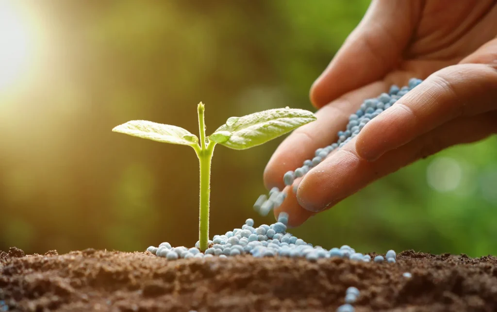 Mais fertilizantes e suporte à pecuária: Senado aprova nova medida para o agro