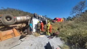 Caminhão carregado com brita sai da pista e motorista morre na GO-203, em Ipameri