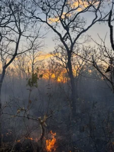 Incêndio