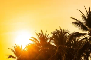 Prepare-se para o calor: Goiânia pode registrar 34°C nesta quinta (20)