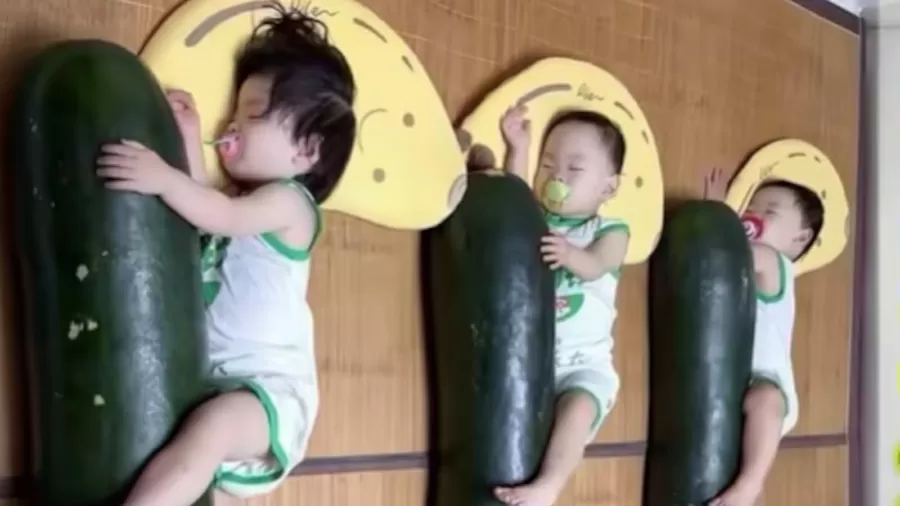Chineses dormem abraçados a melões gigantes para enfrentar calor extremo; entenda