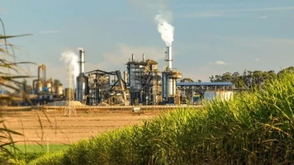 Aproximação entre Brasil e Índia abre novas oportunidades para Goiás