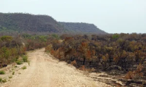 El Niño