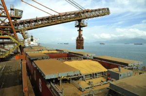 Exportações do agronegócio brasileiro se aproximam da liderança mundial