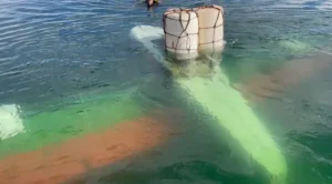 Bombeiros retiram aeronave que caiu no Lago Corumbá, em Caldas Novas (GO)