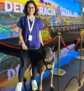 Cão do Senado que atacou veterinária é retirado das atividades e passará por exames
