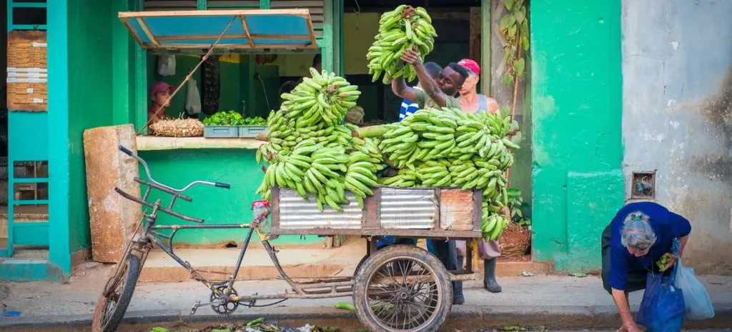 América Latina deve crescer 2,2% em 2026, mas enfrenta baixa produtividade e informalidade
