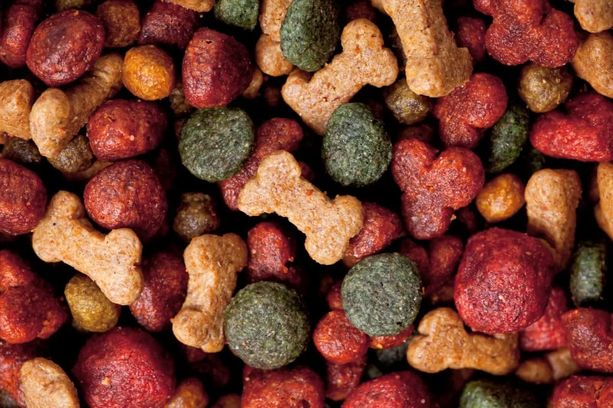 Pode aquecer comida do pet no micro-ondas?