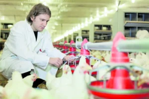 Goiás impulsiona mercado de saúde animal, que chega a R$ 12,8 bilhões no país