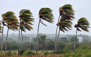 Mais de 10 cidades de Goiás entram em alerta para ventos fortes; confira