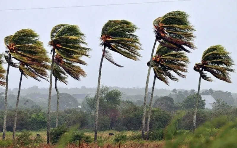 Mais de 10 cidades de Goiás entram em alerta para ventos fortes; confira