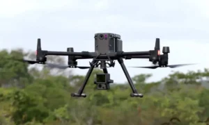 IA mais que dobra presença no agronegócio brasileiro e reduz custos no campo