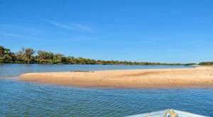 Projeto Cerrado Vivo leva histórias do Araguaia às escolas