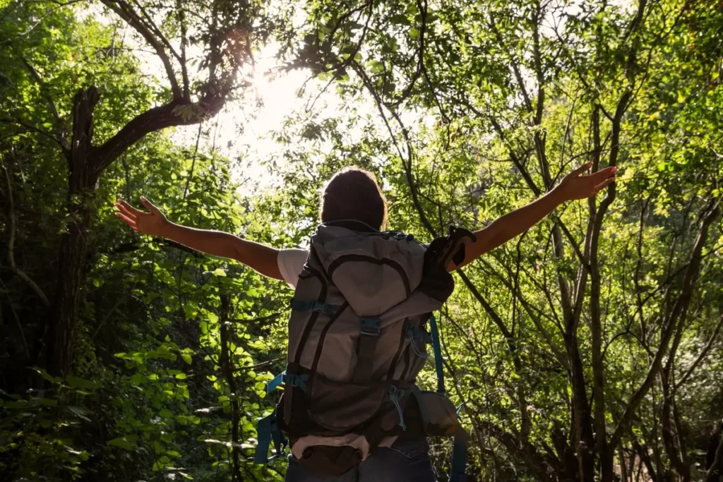 Contato com a natureza ajuda corpo e mente a desacelerar