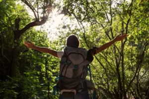 Contato com a natureza ajuda corpo e mente a desacelerar