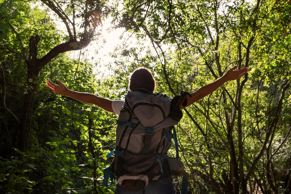 Contato com a natureza ajuda corpo e mente a desacelerar