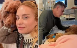“Sem chão”: Angélica desabafa após diagnóstico da cachorra Gringa