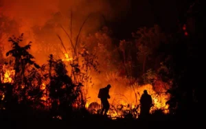 incendio