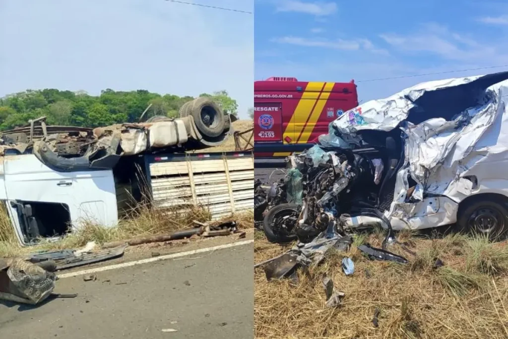 Acidente entre caminhão e carro na GO-244 fere motorista e mata quatro bois em Porangatu