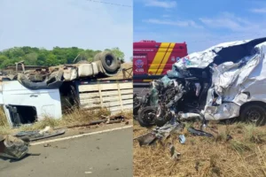 Acidente entre caminhão e carro na GO-244 fere motorista e mata quatro bois em Porangatu